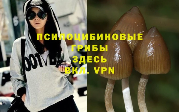 гашишное масло Алексеевка