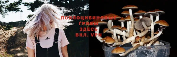 гашишное масло Алексеевка