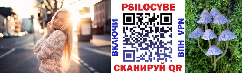 купить   Сибай  Псилоцибиновые грибы мухоморы 
