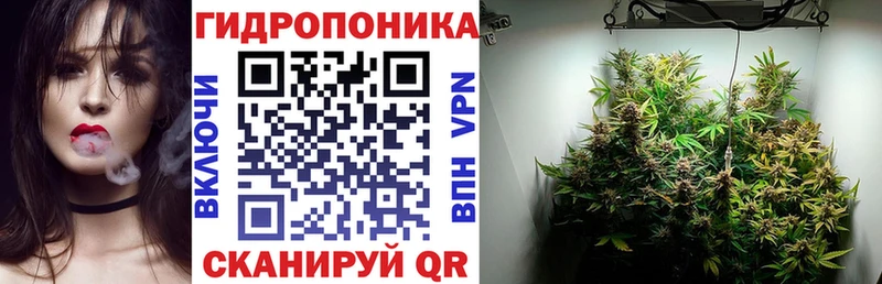 МАРИХУАНА индика Сибай